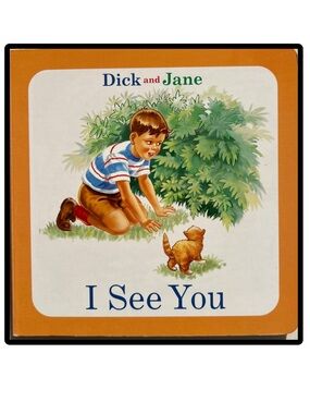 BUNDLE & SAVE 🎉Dick and Jane "I See You" Children's Board Book